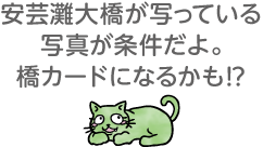 安芸灘大橋が写っている写真が条件だよ。橋カードになるかも!?