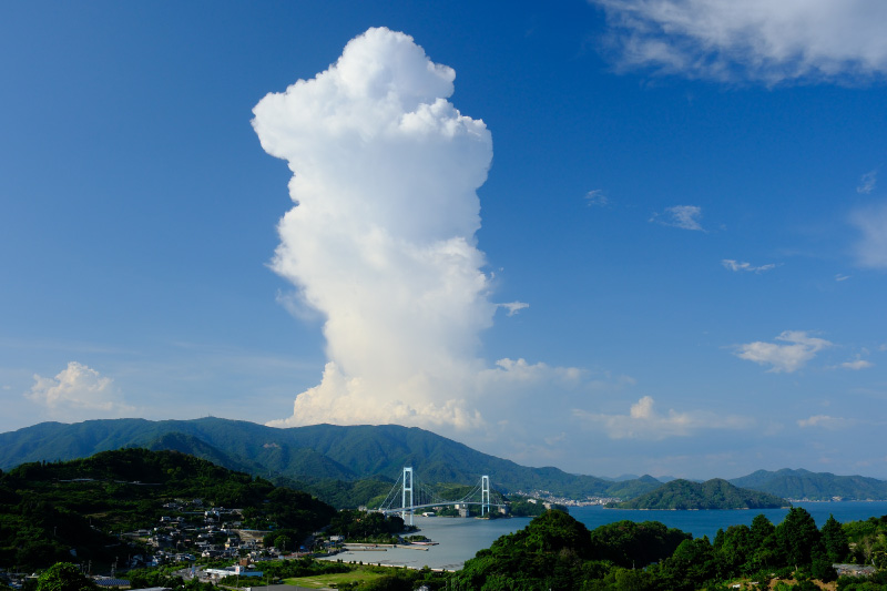 コンテスト写真例