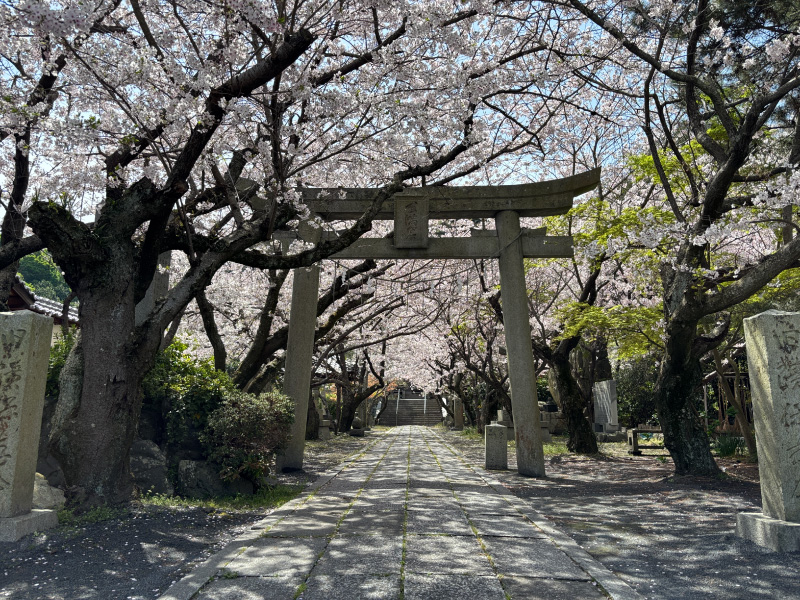 コンテスト写真例