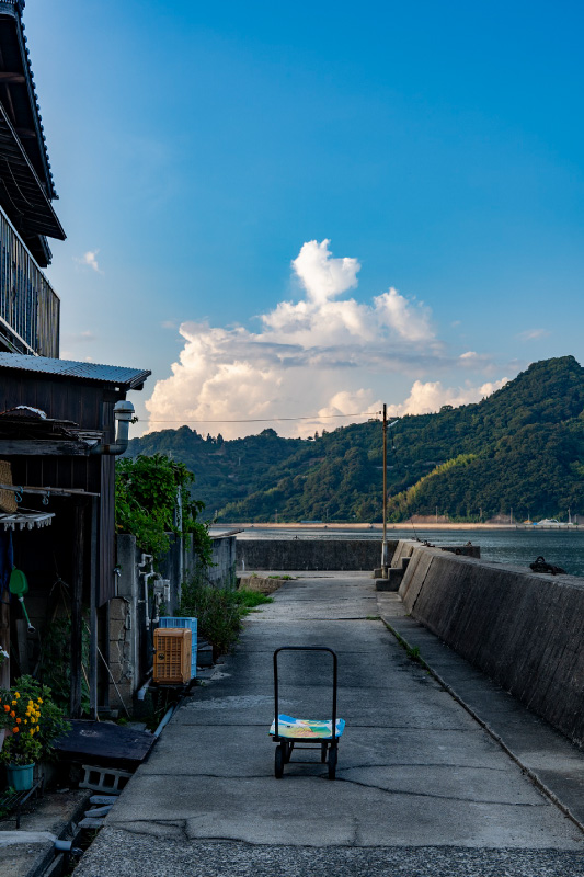コンテスト写真例